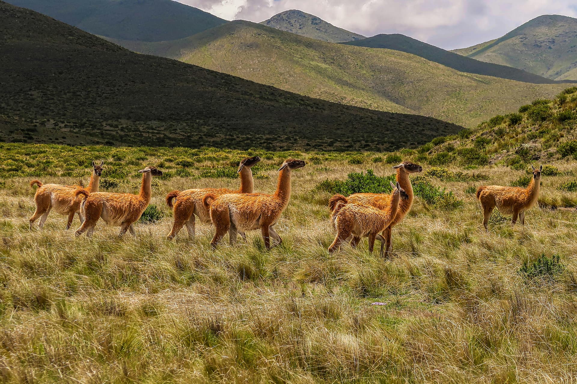 South America travel